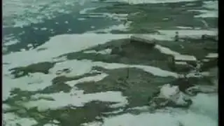 Южный Континет (серия 2)