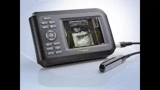 MSLVU04 New handheld portable Veterinary ultrasound equipment