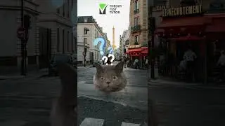 EASY steps to pass your theory test in 1 minute