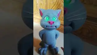 Talking Tom Cat