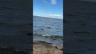 Владимир Яцкевич в Петергофе