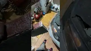 #веста