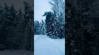 Настоящая зима ❄️