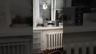 Это был пятый удачный забег за мешочками