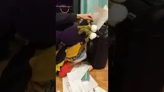 shredder #funny #funnyvideo #shortsvideo