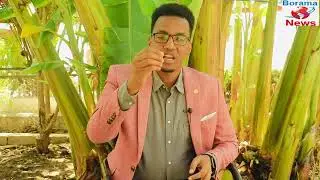 Awdal xukuumada Somaliland meel ganacsi bay ka dhigatay
