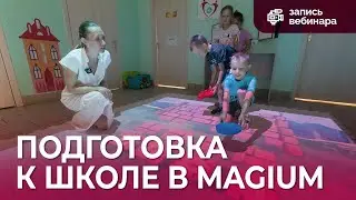 Образовательная программа «Подготовка к школе» на основе Интерактивного пола Magium
