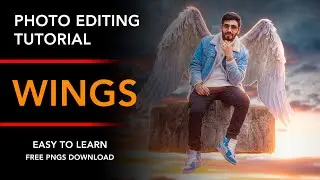 Wings - Photo Edit Hack