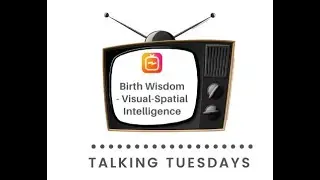 Birth Wisdom - Spatial-Visual Intelligence