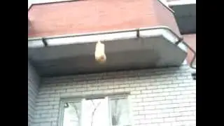 Узник Азкобана По Русски