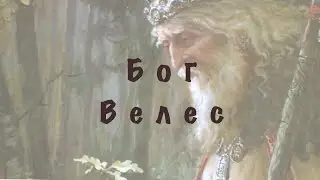 🌱 Бьем Велиса 🌿от zabey tattoo