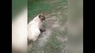 Моё чудо)