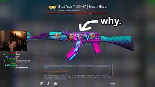 the weirdest sticker combo