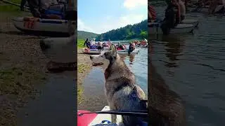 Другая жизнь .#сплав#река Ай.