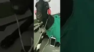 Опымай опымай класстастар кайда?