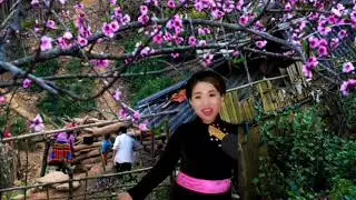 Lời ca gửi noong - Anh Trang YB: Nhạc Tây Bắc
