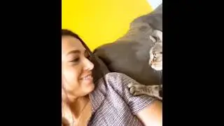 Komik KEDİLER