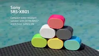 The new Sony EXTRA BASS Bluetooth SRS-XB01 Speakers