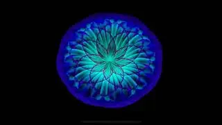 SideFX Houdini -  More VEX flowers/2nd render