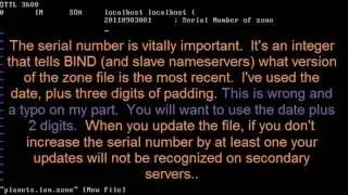 Ubuntu Server: Network Services DNS and DHCP