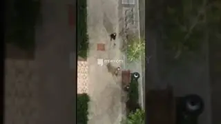 В Солнечном из-за вопроса о «спецоперации» «участник СВО» напал на охранника, он в больнице