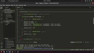 Ray Lib C project particles