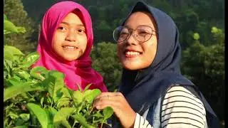 Spot foto Baru Kebun teh sirah kencong !!! Kamu wajib cobain !!