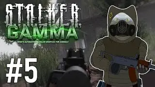 Fidchell VODs: STALKER GAMMA 0.9 Military Ironman Run [5]