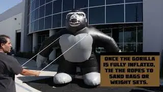 10' Inflatable Gorilla Set Up