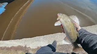Shore Hopping for Spring Walleyes