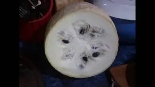 Фицефалия . Овощное рагу с фицефалией и сушеными овощами