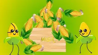 Aysuda Ülkü Zeren - Mısır | Okul Öncesi Şarkıları
