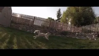 Slow Motion Test (Power Director 10)