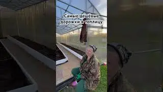 Теплица на всю жизнь 