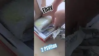 compré 2 PSVitas qué tal salió?😁