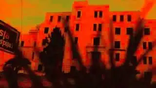 Trippythakid- 