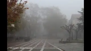 Έπεφτε το πούσι από βραδίς