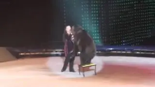 САМАЯ КРАСИВАЯ ПОПА