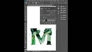 Vector Mask in Adobe Photoshop
