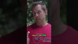 La destrucción del Oeste 