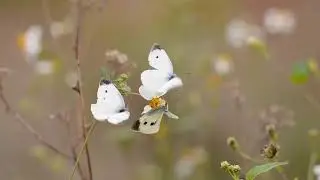 #Мой