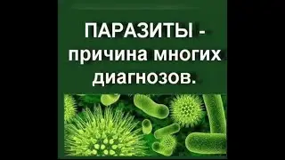 Чистая внутренней среды организма. Что дадут тебе антипаразитарные программы?