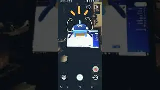 Pokemon Whiscash catfish acts like a cat