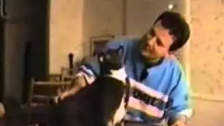 Говорящие кошки