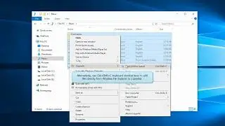 Windows: Copying files without their folders using Copywhiz