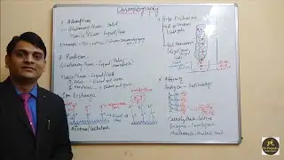Part 2: Chromatography-Principles