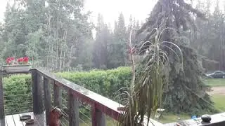 the rain, it is so heavy and cold