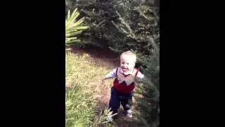 Christmas Tree Farm 2011