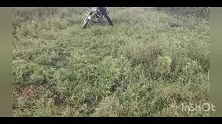 Дрифт на мопеде альфа егуар 72 Куба