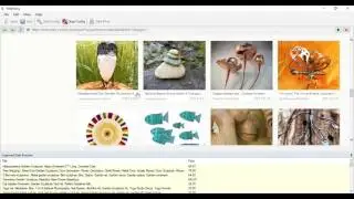 Scraping Etsy.com using Webharvy